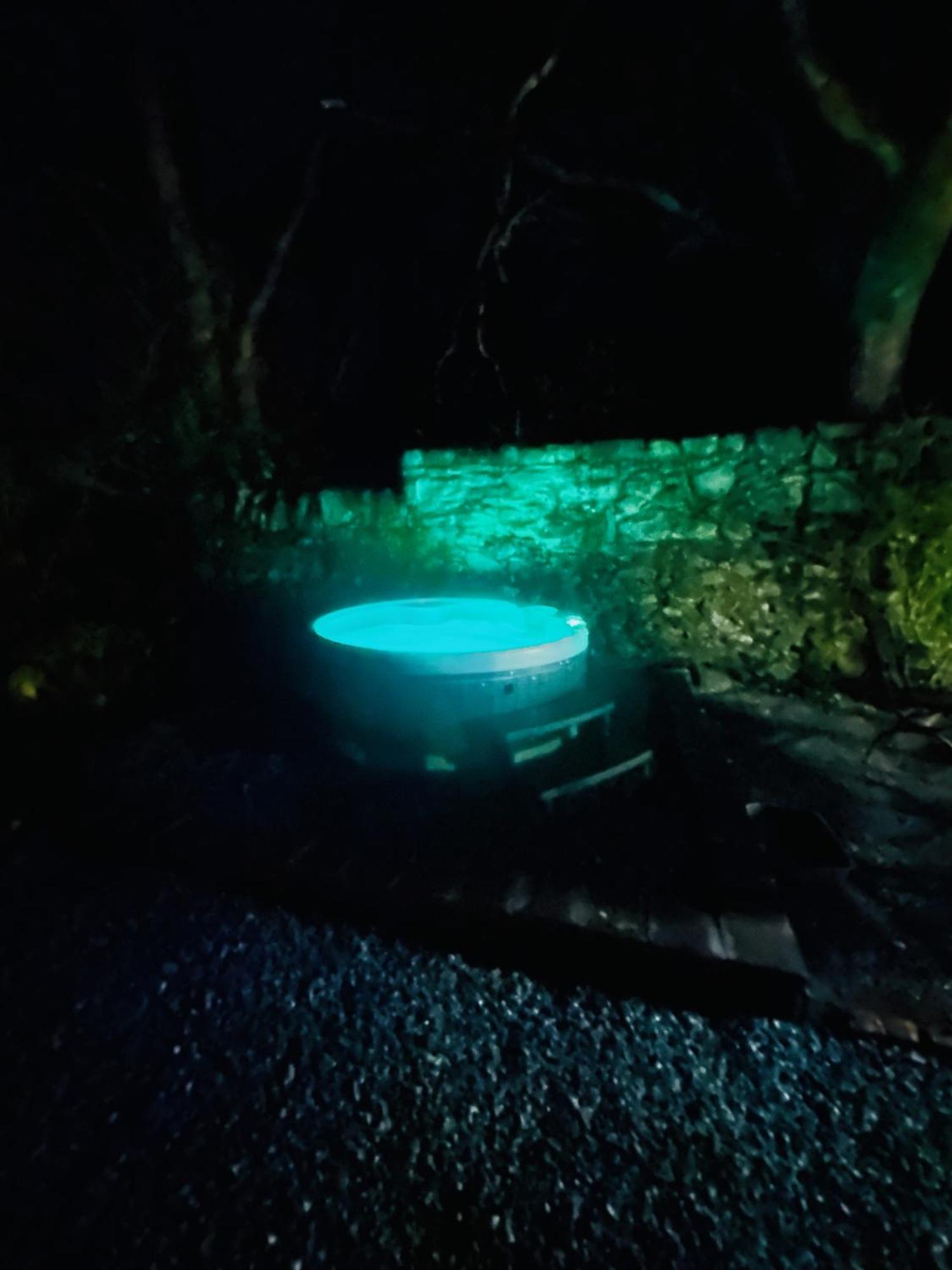 Tiny Romantic Retreat With Hot Tub On A Country Estate Near Cardigan Bay In Eryri Snowdonia 란베드르 외부 사진